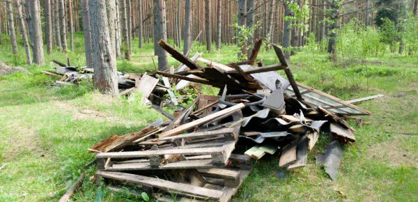 Debris Removal Service in Mansfield